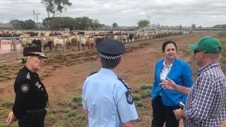 L’Australie redoute une hécatombe pour le bétail L’Australie redoute une hécatombe pour le bétail