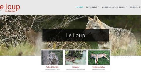 Un site officiel sur le loup Un site officiel sur le loup