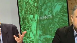 Des jacqueries d’antan aux gilets jaunes Des jacqueries d’antan aux gilets jaunes