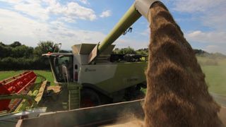 La production de grains bondirait de 6,5 % La production de grains bondirait de 6,5 %