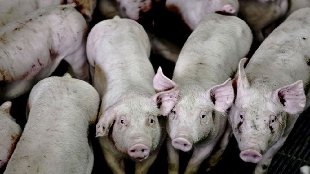 Les organisations de l’Ouest à l’unisson