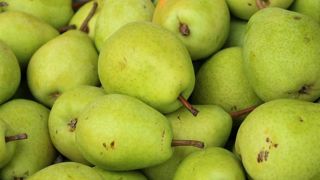 Des stocks de poires très importants Des stocks de poires très importants