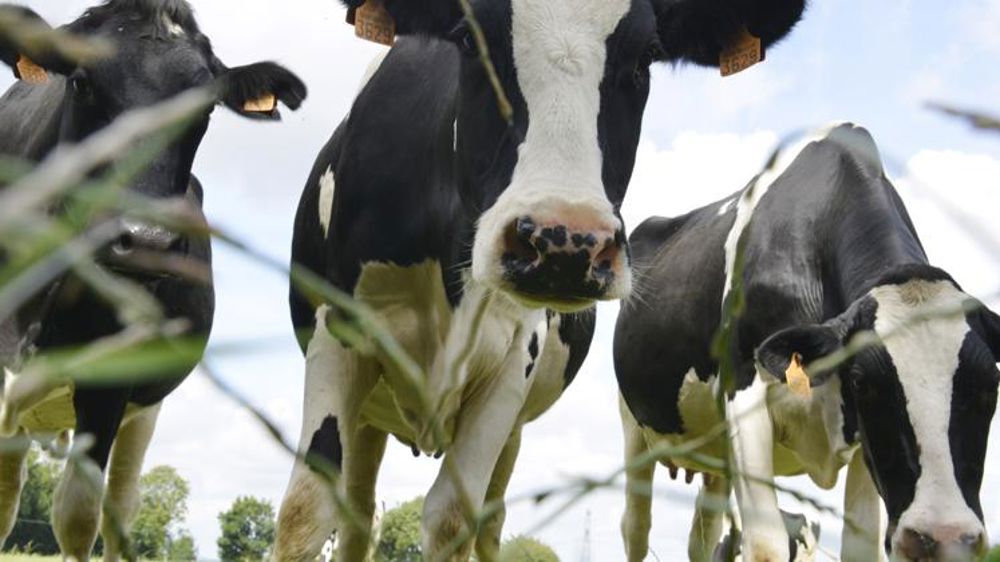 « Les éleveurs n’ont rien à cacher »