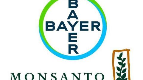 L’achat de Monsanto reste une « bonne idée » pour le patron de Bayer L’achat de Monsanto reste une « bonne idée » pour le patron de Bayer
