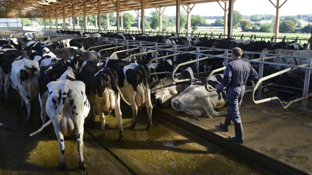 L’envolée des charges plombe les revenus