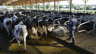 L’envolée des charges plombe les revenus L’envolée des charges plombe les revenus