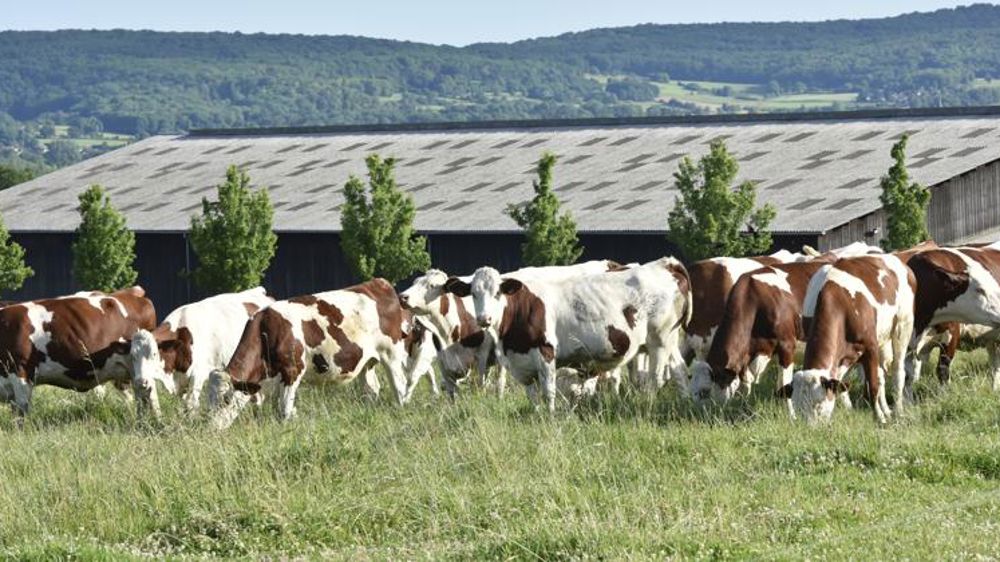 Biolait table sur 285 millions de litres en 2019