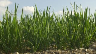 + 50 Mt de production en 2019-2020 + 50 Mt de production en 2019-2020