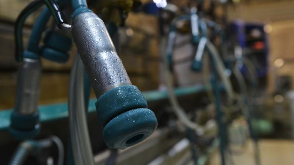 La collecte reprend des couleurs