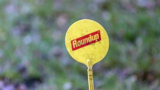 Monsanto condamné à payer plus de 80 millions de dollars Monsanto condamné à payer plus de 80 millions de dollars