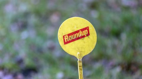 Monsanto condamné à payer plus de 80 millions de dollars Monsanto condamné à payer plus de 80 millions de dollars