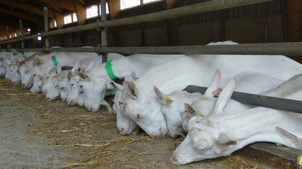 Une alternative aux hormones