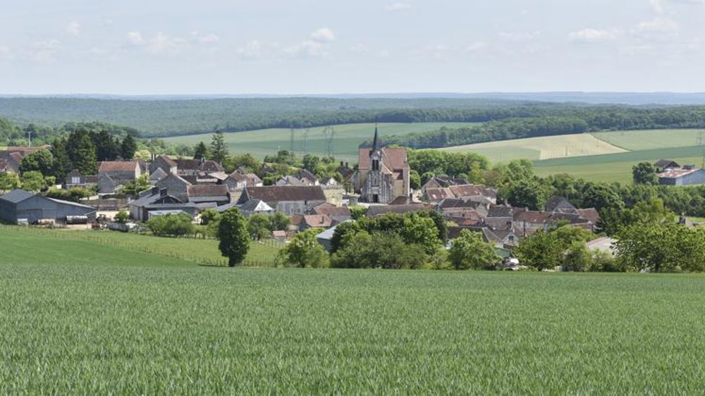 Trois ans pour sauver Leader