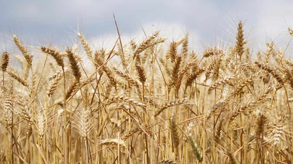 La CVO augmente de 20 centimes par tonne
