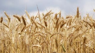 La CVO augmente de 20 centimes par tonne La CVO augmente de 20 centimes par tonne