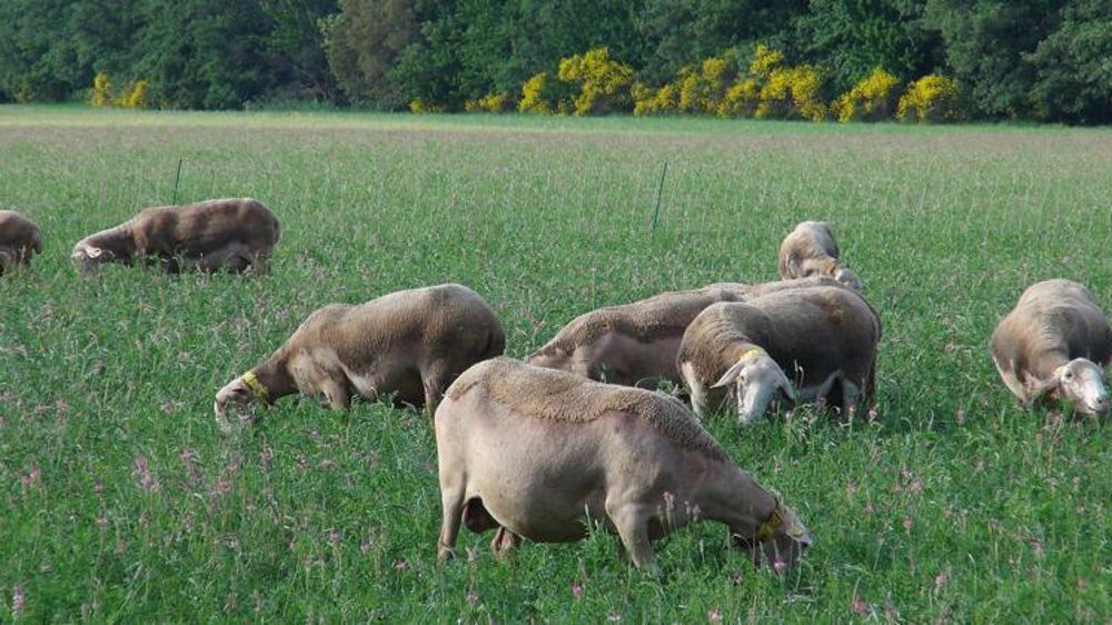 Guerre syndicale pour siéger à l’interprofession