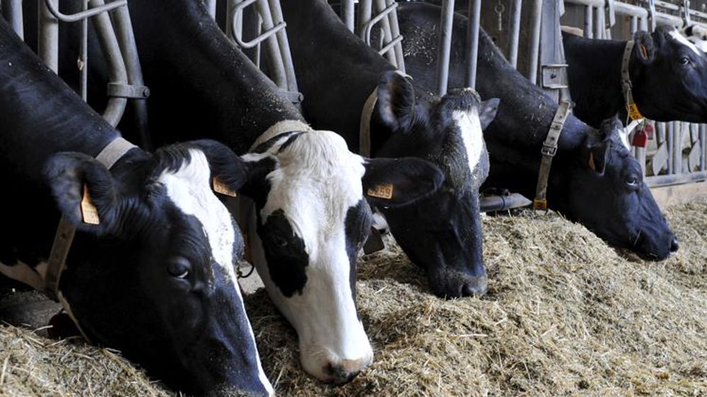L’Europe empêche-t-elle le développement des agricultures du Sud ?