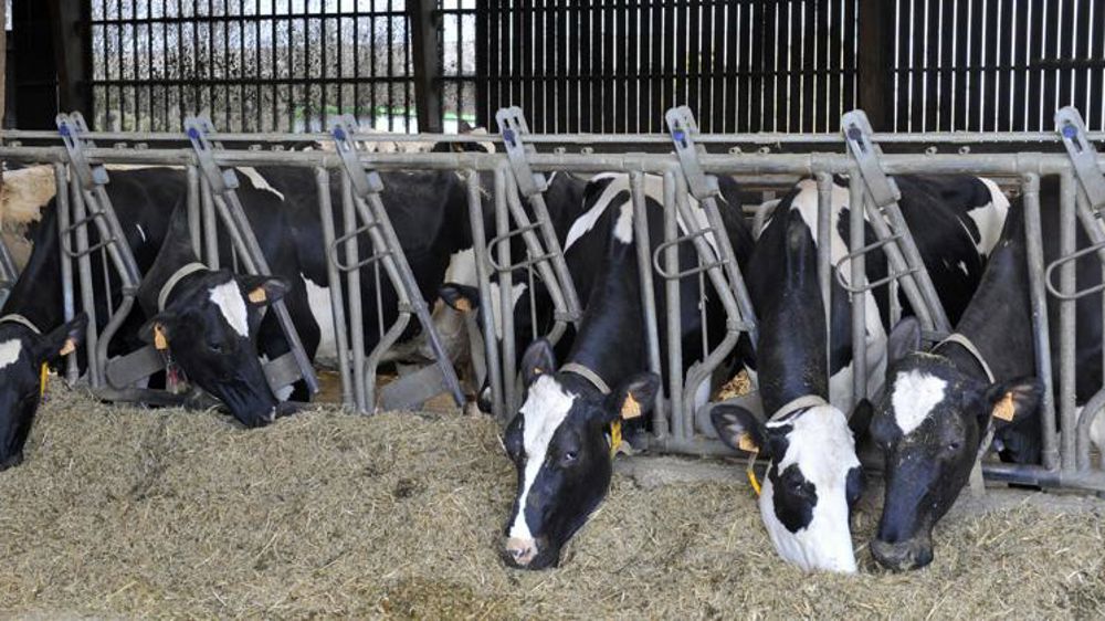 GDS Bretagne répond à la FRSEA et JA