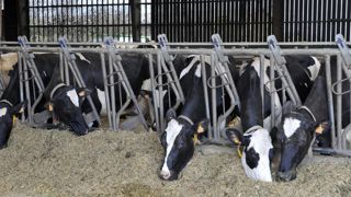 GDS Bretagne répond à la FRSEA et JA GDS Bretagne répond à la FRSEA et JA