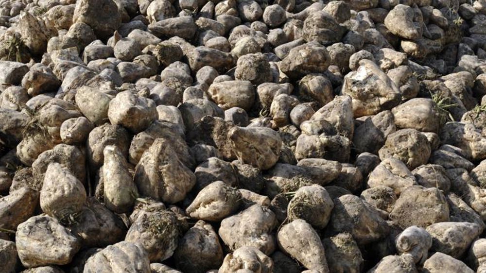 Tereos fait tomber les têtes