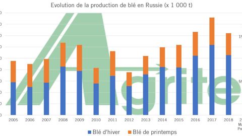 Le rouleau compresseur russe Le rouleau compresseur russe