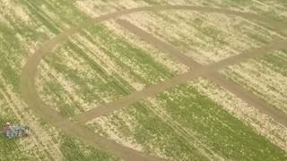 Hommage à Notre-Dame