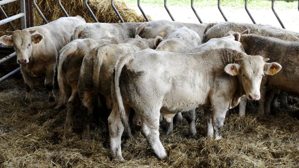 Une production européenne attendue en baisse