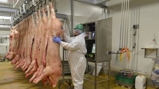 Le contrôle vidéo à l’abattoir à l’essai Le contrôle vidéo à l’abattoir à l’essai
