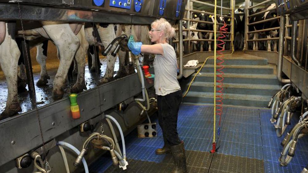 Le prix du conventionnel gagne 7 % en mars