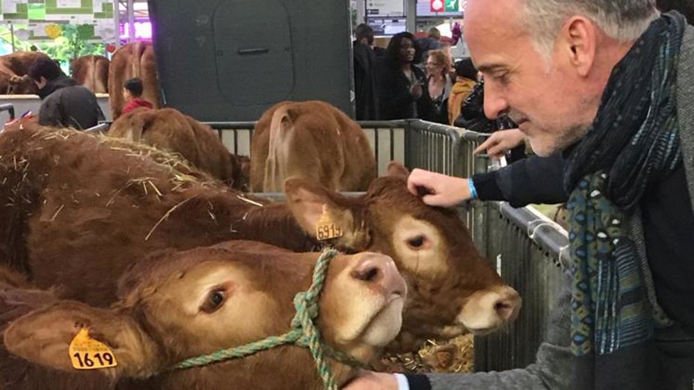 « Il faut une mission parlementaire sur la viande artificielle »