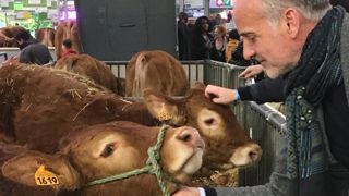 « Il faut une mission parlementaire sur la viande artificielle » « Il faut une mission parlementaire sur la viande artificielle »