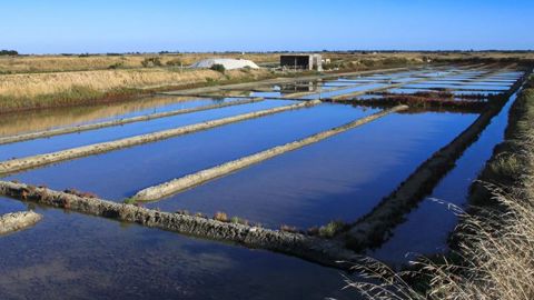 La loi sur la protection des activités agricoles est publiée La loi sur la protection des activités agricoles est publiée