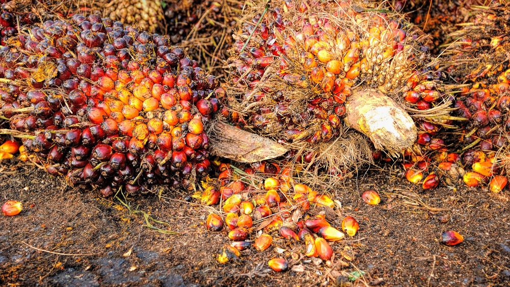 Un règlement UE qui « augmentera considérablement les importations »