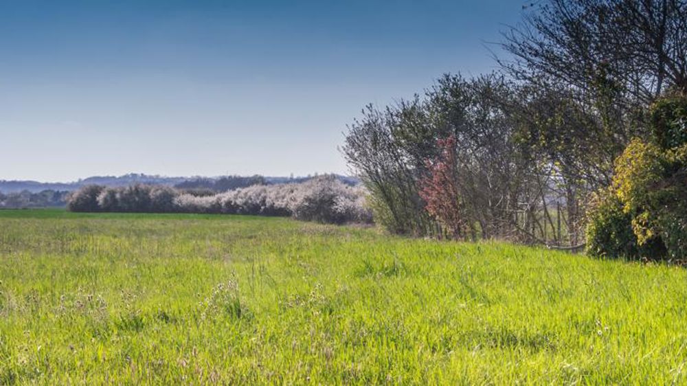 Un nombre record de transactions