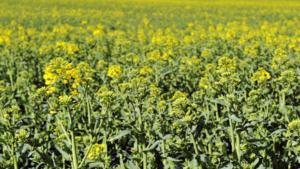 Le groupe Avril reprend des couleurs