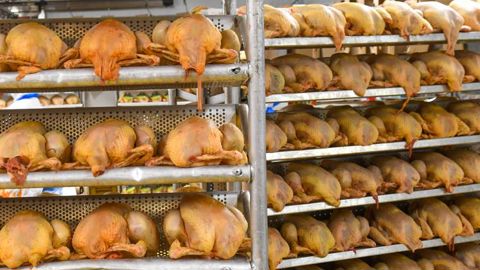 Le poulet et la dinde plombent les abattages Le poulet et la dinde plombent les abattages