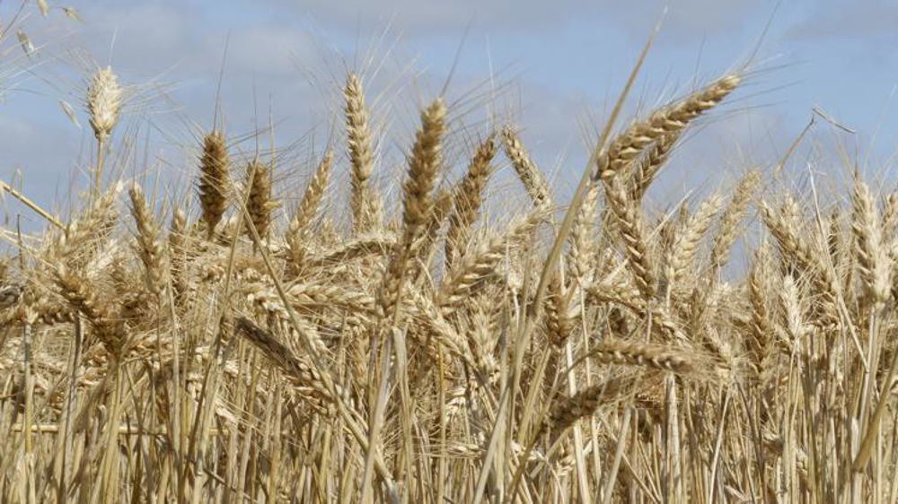 La campagne d’export touche à sa fin