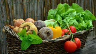 Les producteurs veulent des solutions face aux risques fongiques Les producteurs veulent des solutions face aux risques fongiques