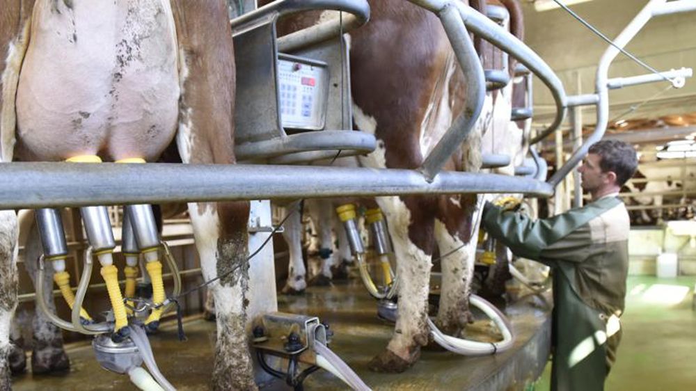 Le prix progresse de plus de 7 % sur un an