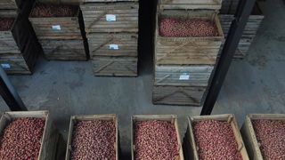 Le CIPC non renouvelé au niveau européen Le CIPC non renouvelé au niveau européen