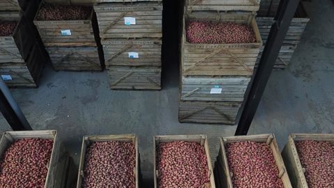 Le CIPC non renouvelé au niveau européen Le CIPC non renouvelé au niveau européen