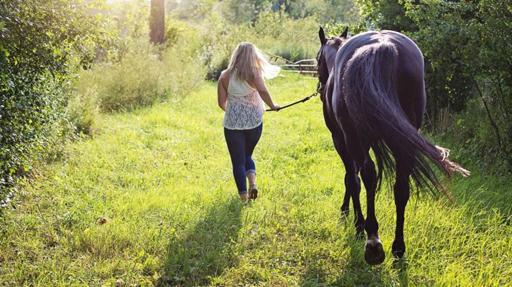 Utiliser le Regumate avec précaution