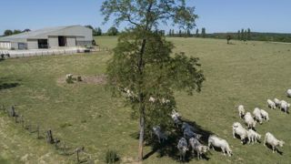 Simuler l’impact des aléas sur les exploitations Simuler l’impact des aléas sur les exploitations