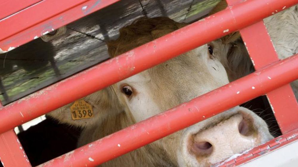 Le ministre demande la plus grande vigilance