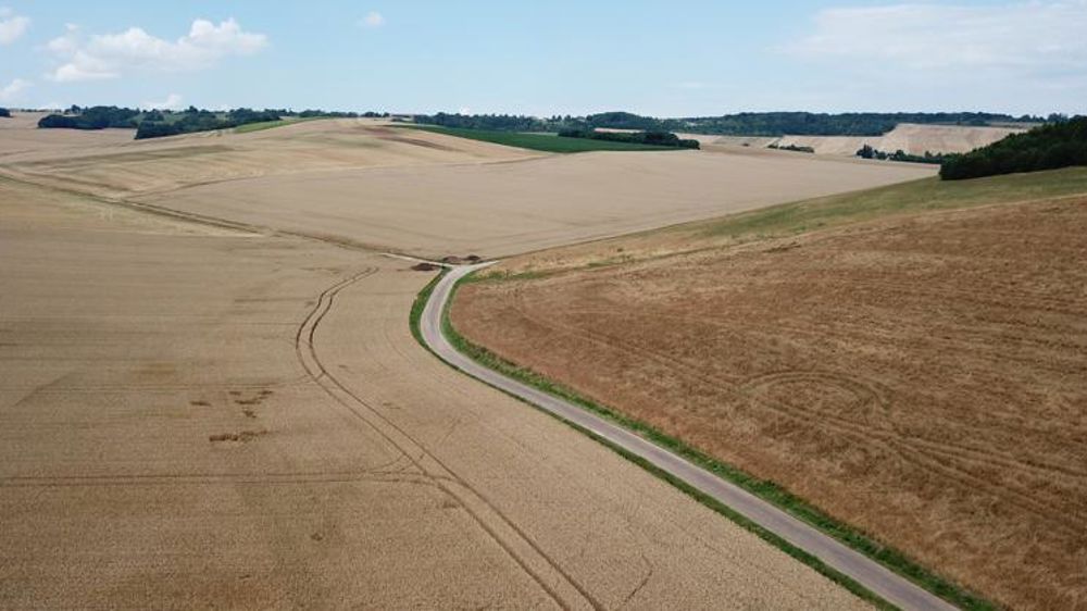 Les conditions d’accès aux aides du premier pilier précisées