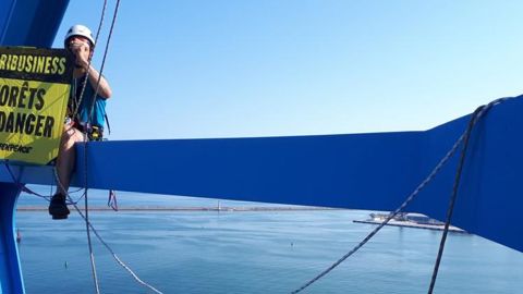 Des activistes de Greenpeace délogés du port de Sète Des activistes de Greenpeace délogés du port de Sète