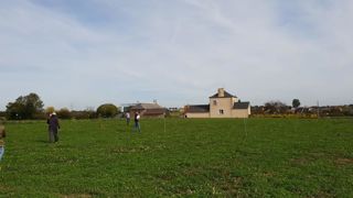 Vers le semis direct sans glyphosate ? Vers le semis direct sans glyphosate ?