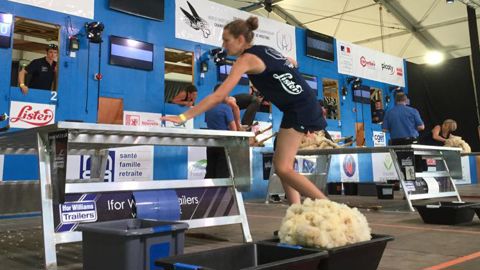 C’est parti pour le Mondial de tonte C’est parti pour le Mondial de tonte