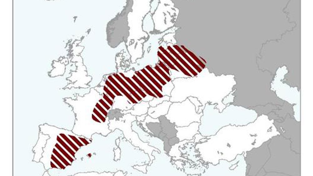 Les rendements variablement impactés par la canicule
