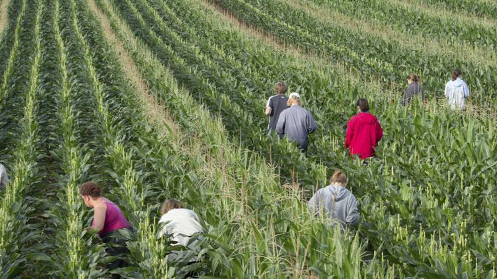 La chasse à la fraude est lancée
